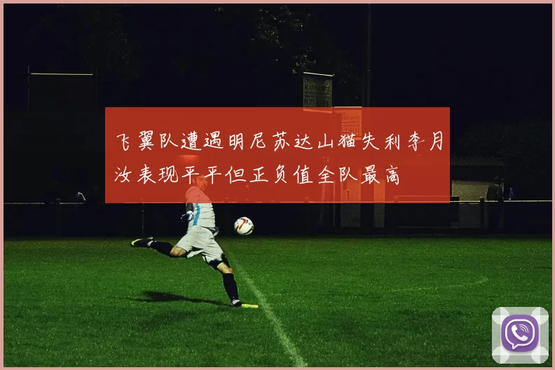 飞翼队遭遇明尼苏达山猫失利李月汝表现平平但正负值全队最高