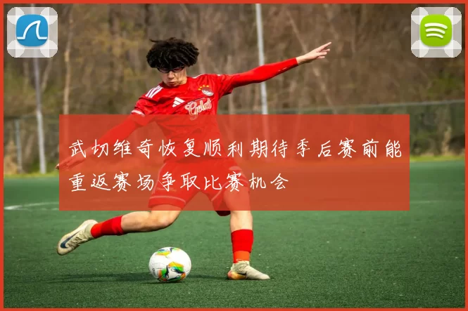 武切维奇恢复顺利期待季后赛前能重返赛场争取比赛机会